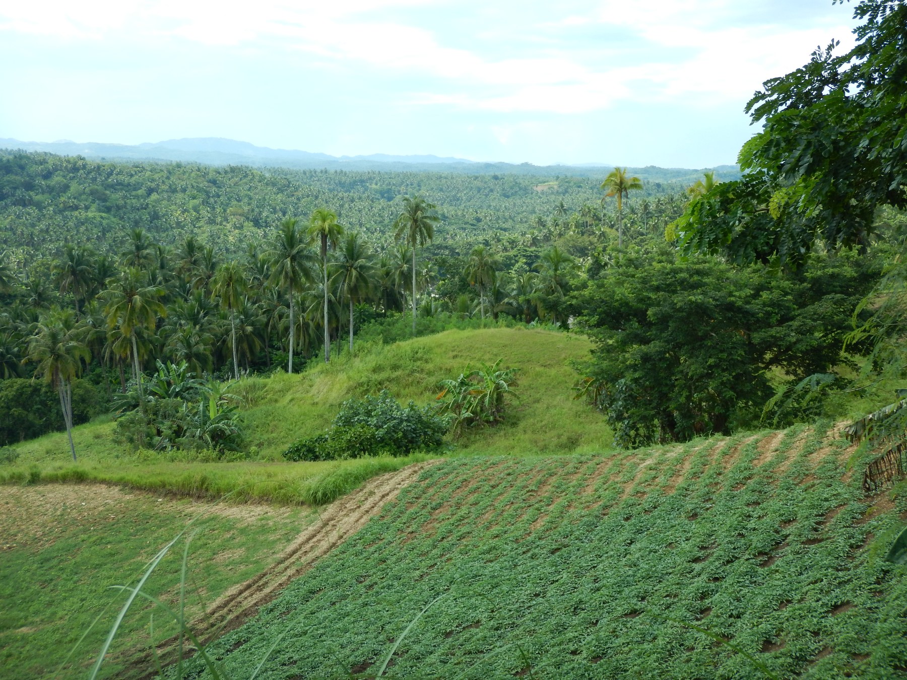 Rolling hills in Malama, the home base